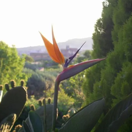 B&B Tra I Frutti Agroturismo *