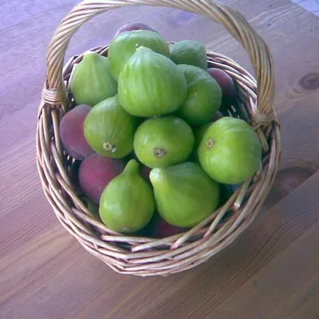 B&B Tra I Frutti