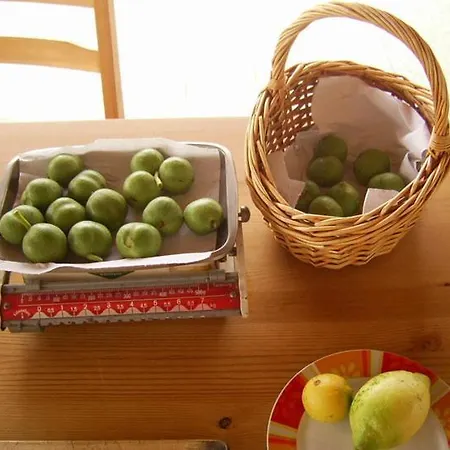 B&B Tra I Frutti