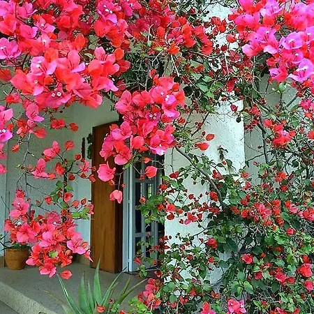 B&B Tra I Frutti