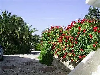 B&B Tra I Frutti